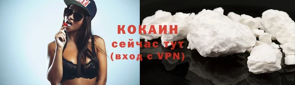 spice Алзамай