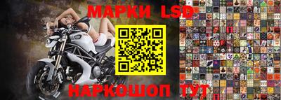 гашик Тверь