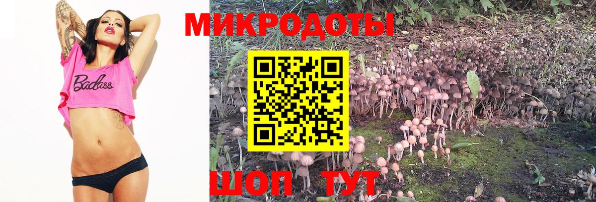 Галлюциногенные грибы мицелий Первоуральск